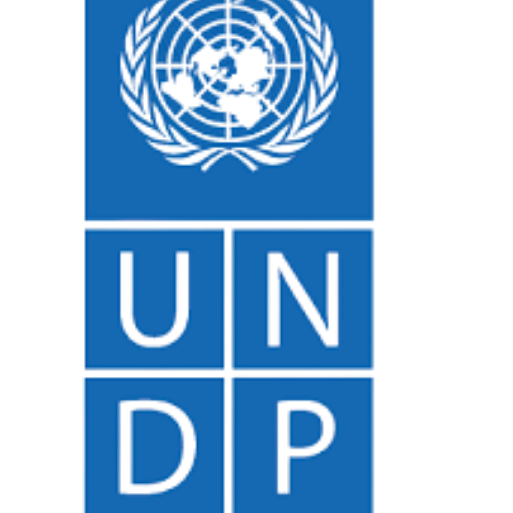 undp